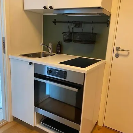 Beautifull W 1 Bedroom * Oslo